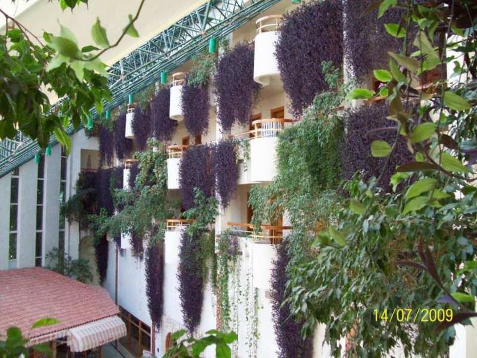 Lobby Hotel Defne Garden