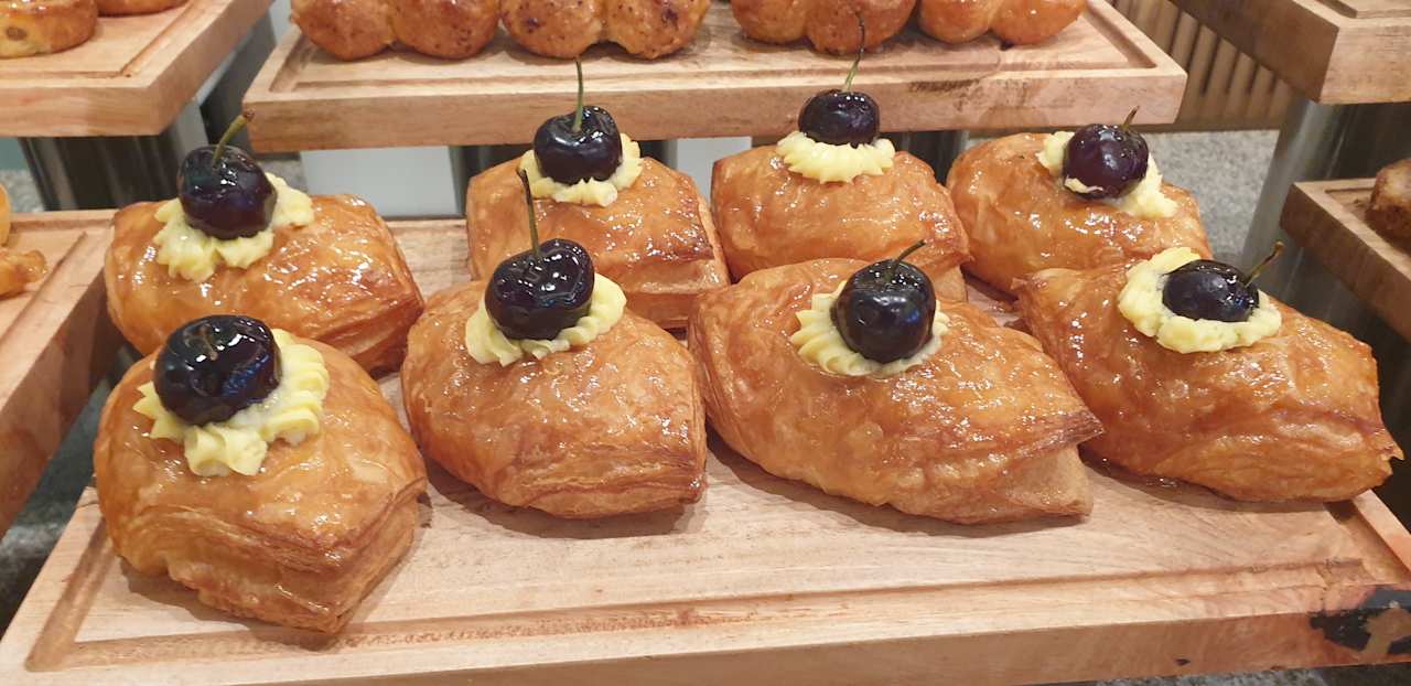 Gastro JAZ Elite Asteria