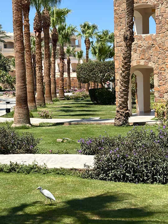 Gartenanlage Brayka Bay Resort