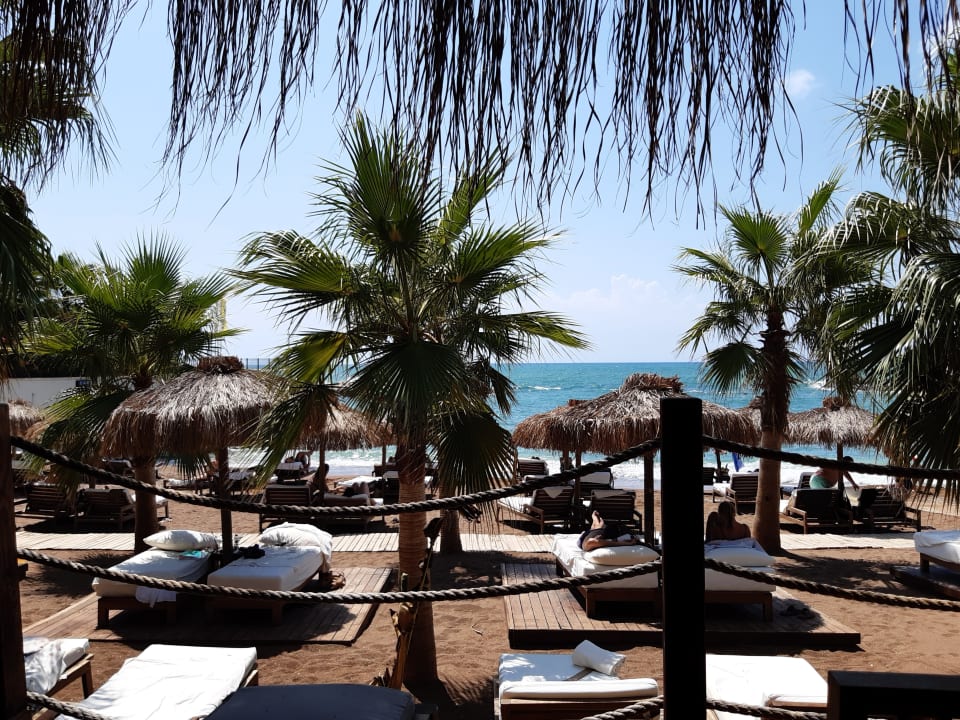 Strand Rubi Platinum Sign