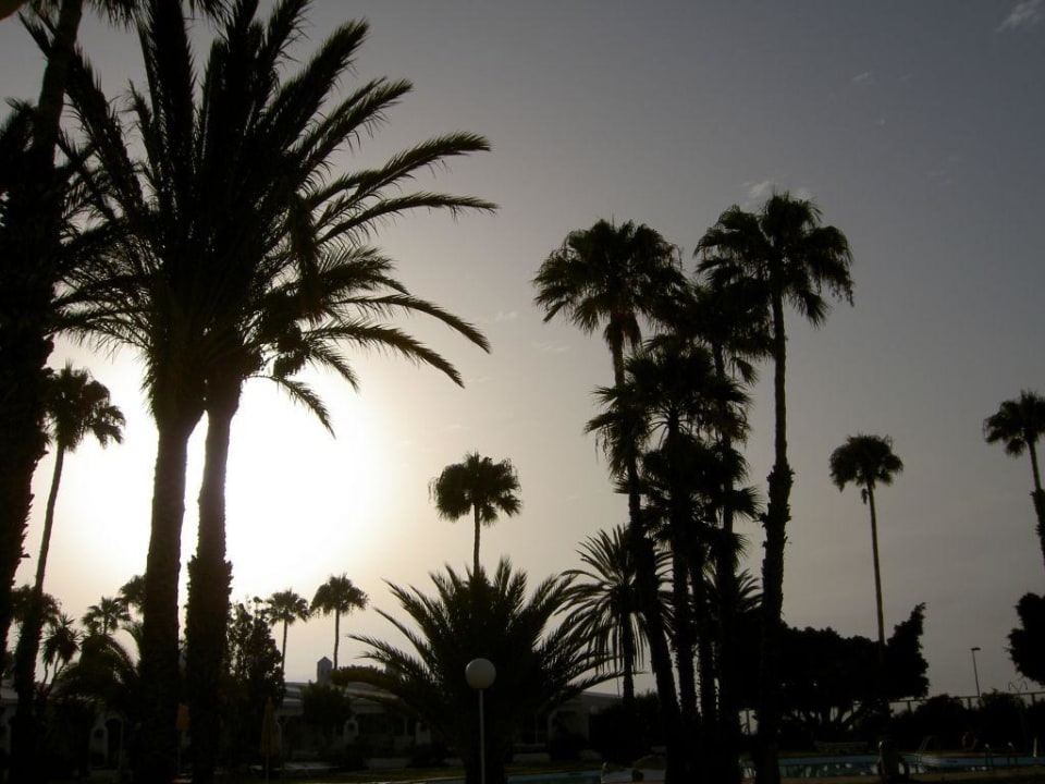 Frühstück an der Westseite Sahara Beach Club