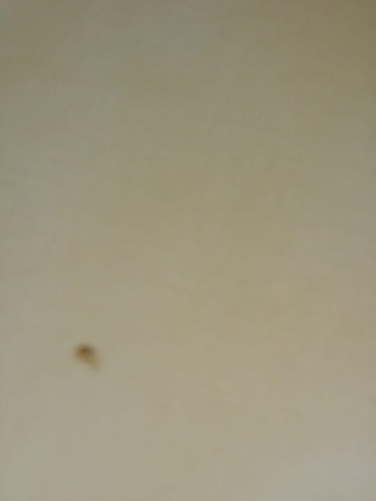 Zimmer Dormio Strand Resort Nieuwvliet-Bad