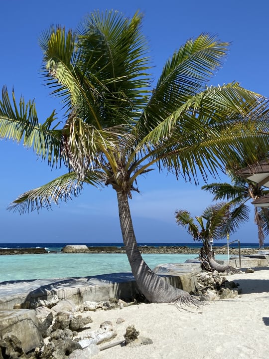 Strand Ellaidhoo Maldives by Cinnamon