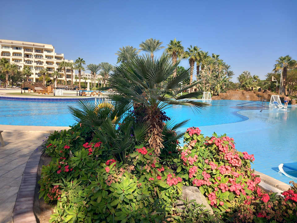 Pool Steigenberger ALDAU Beach Hotel