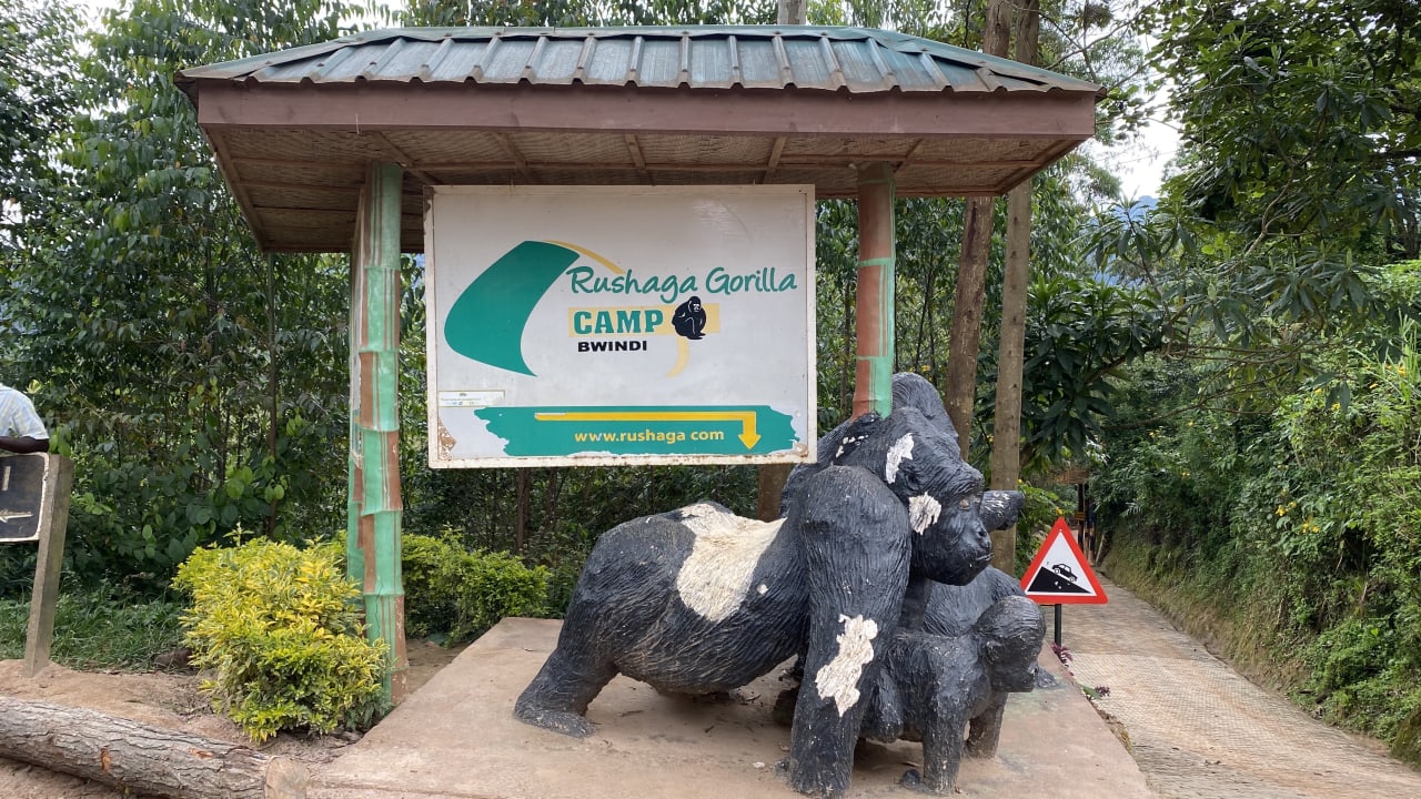 Sonstiges Rushaga Gorilla Lodge