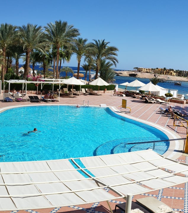 Pool Steigenberger Coraya Beach - Adults only