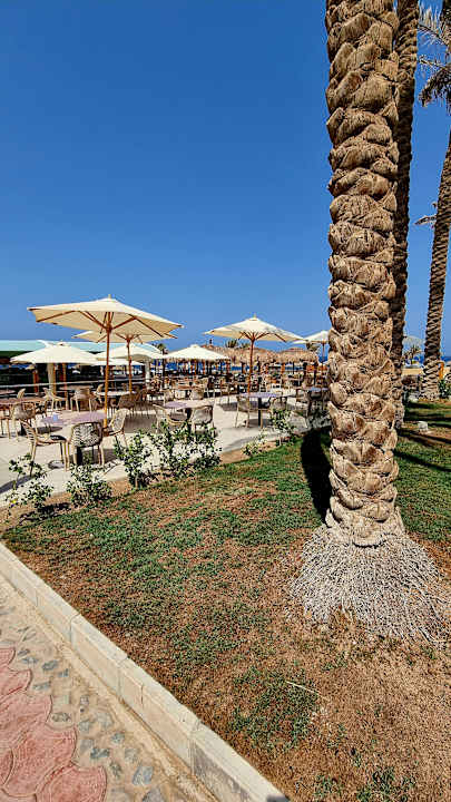 Gastro Three Corners Sea Beach Resort