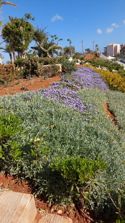 Gartenanlage Anissa Beach & Village