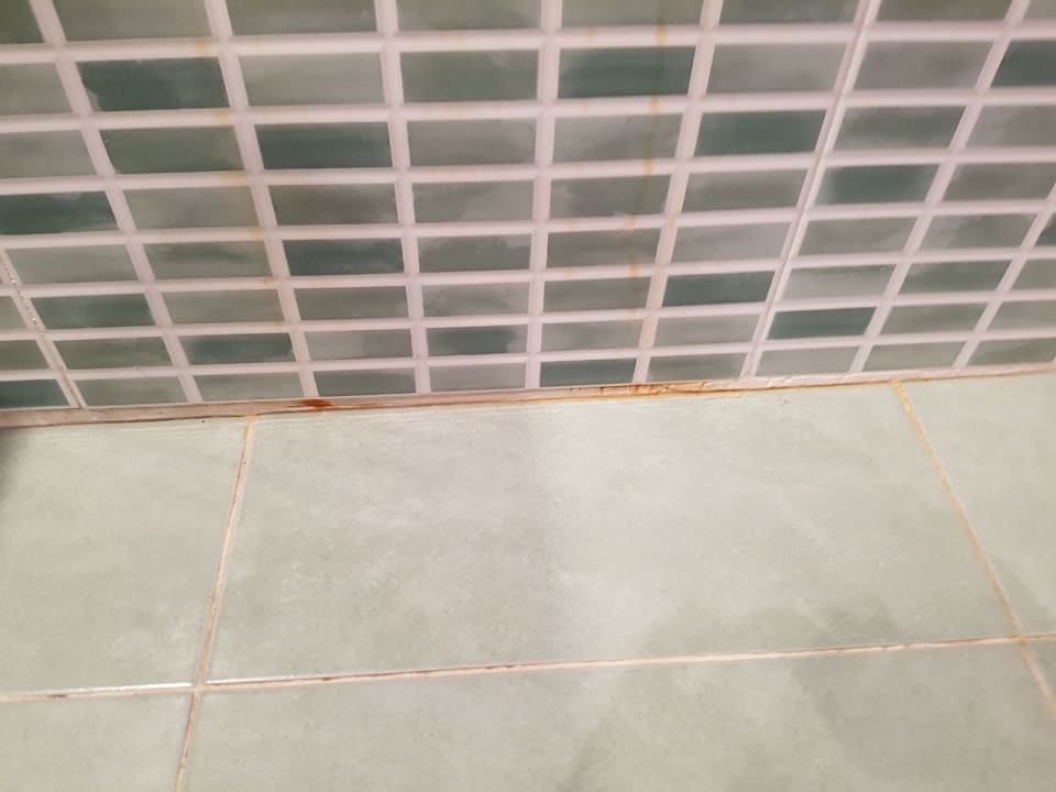 Zimmer Calimera Fido Gardens