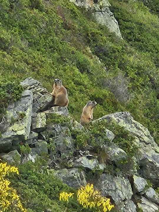 Sonstiges Alpenhotel Heimspitze