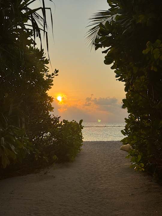 Ausblick OZEN LIFE MAADHOO