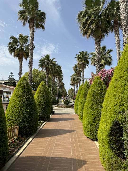 Gartenanlage TUI MAGIC LIFE Jacaranda