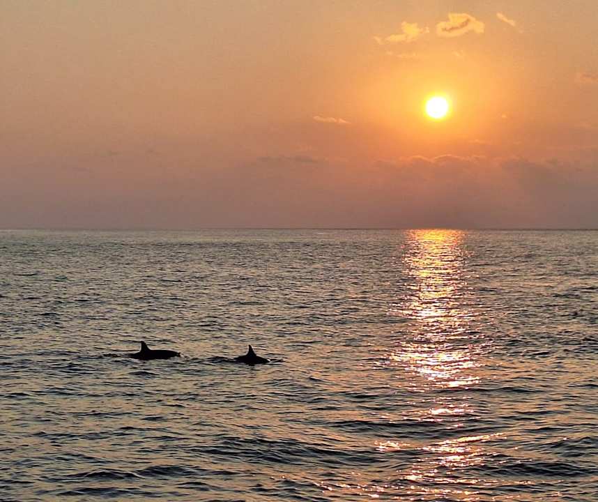 Ausblick Kuredu Island Resort & Spa