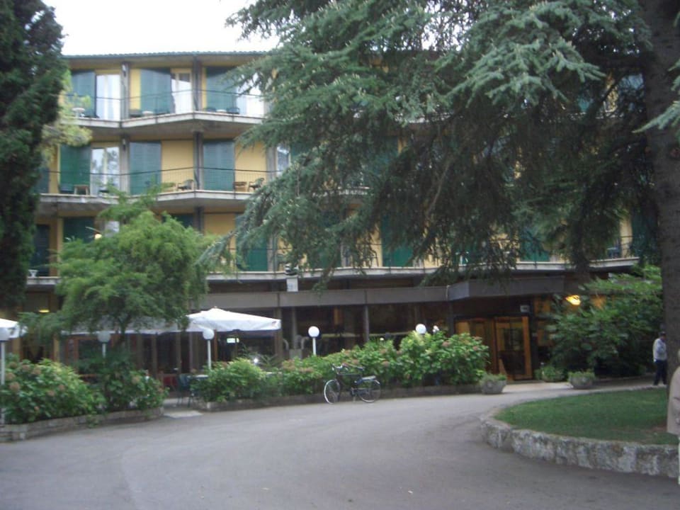 Hotel Palme Eingang Hotel Royal & Hotel Palme & Suite