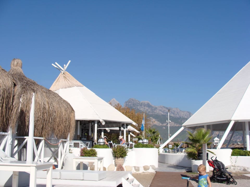 Paloma Renaissance Antalya Beach Resort & SPA Balmy Foresta