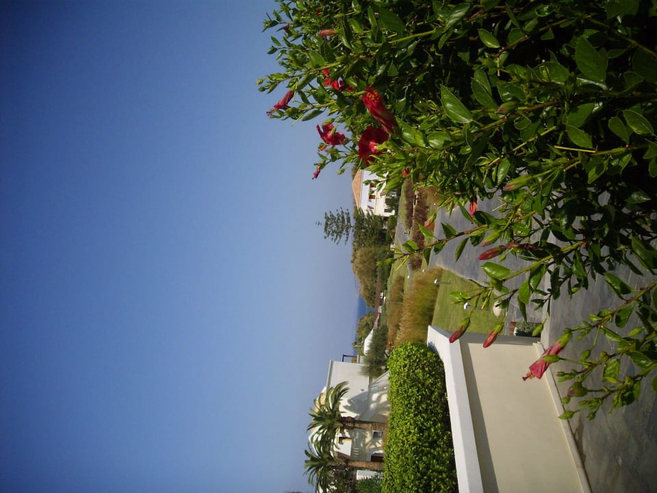 Hotel Neptune Luxury Resort