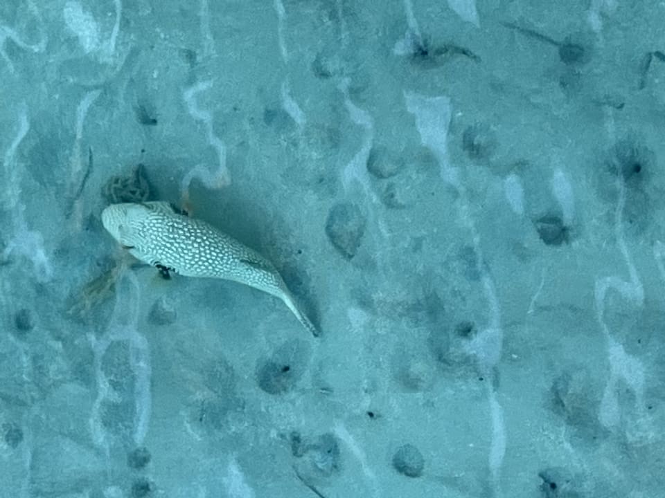 Strand Casa Mare Resort