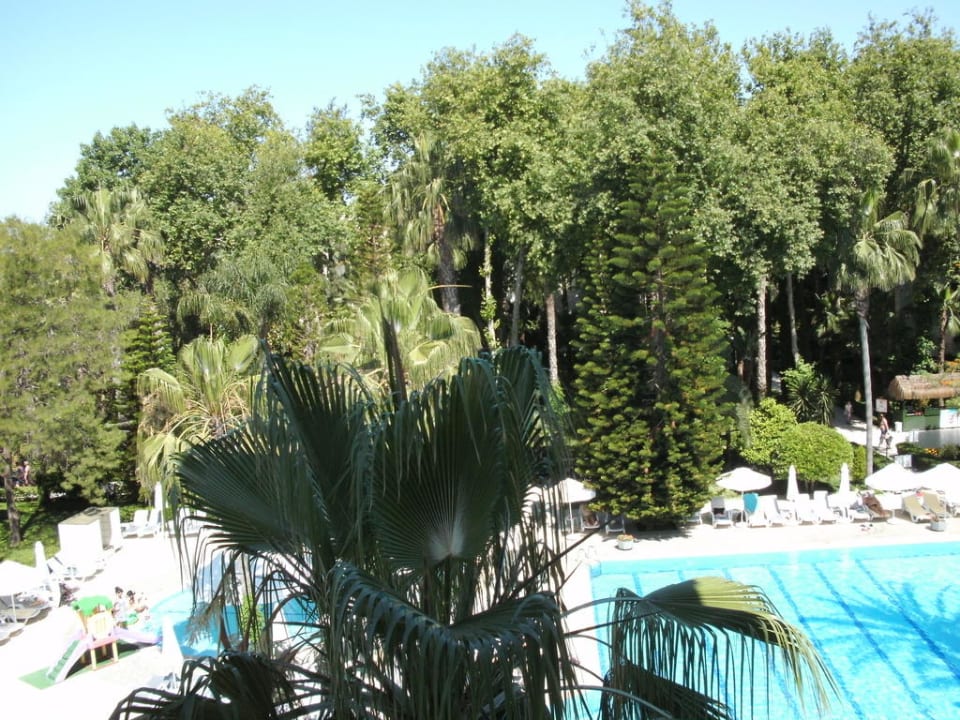 Pool Botanik Hotel & Resort