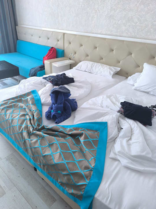 Zimmer Sentido Marea