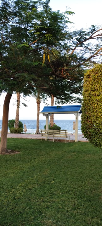 Ausblick Serenity Alpha Beach