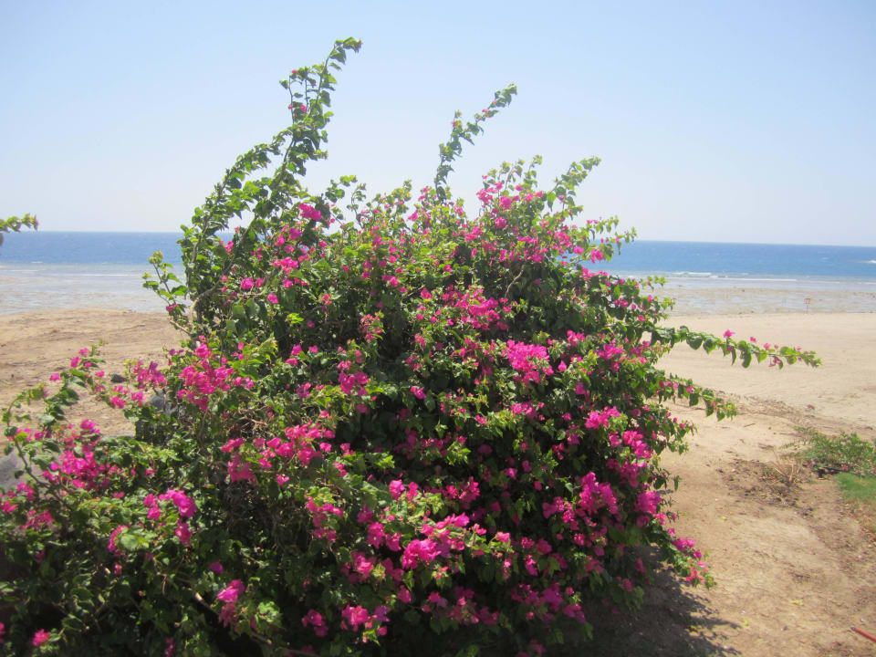 Schön Three Corners Equinox Beach Resort