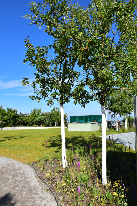 Gartenanlage REVERB by Hard Rock Hamburg