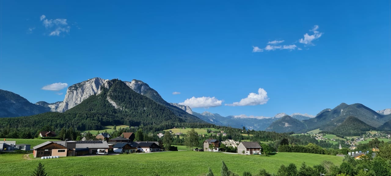 Ausblick Narzissen Vital Resort