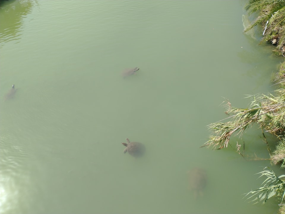 Strand Grand Seker Hotel