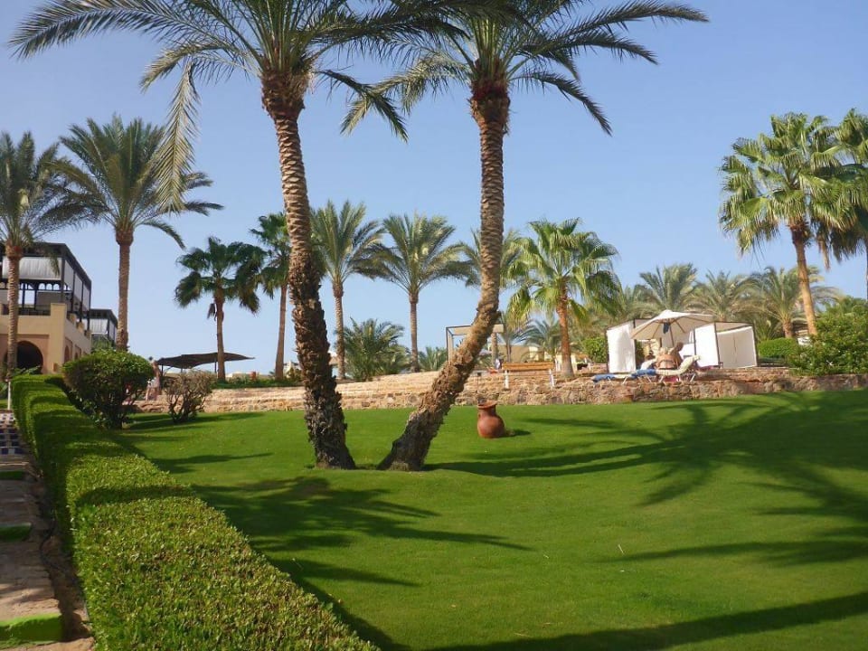 Garten Steigenberger Coraya Beach - Adults only