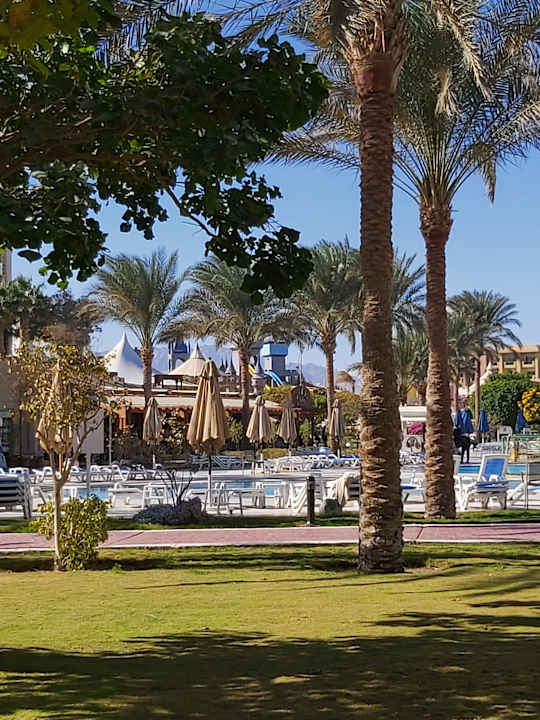 Pool Serenity Alma Heights