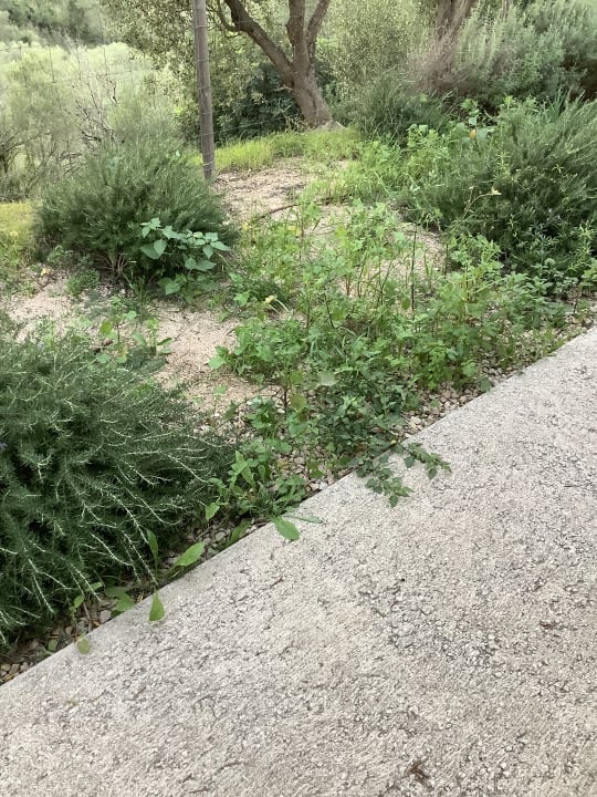 Zimmer Carrossa Hotel & Spa