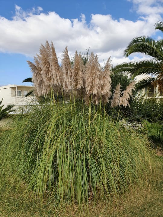 Sonstiges HARPIN Georgioupolis Resort Aquapark & SPA