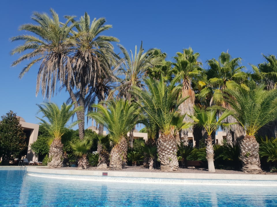 Pool Gloria Serenity Resort