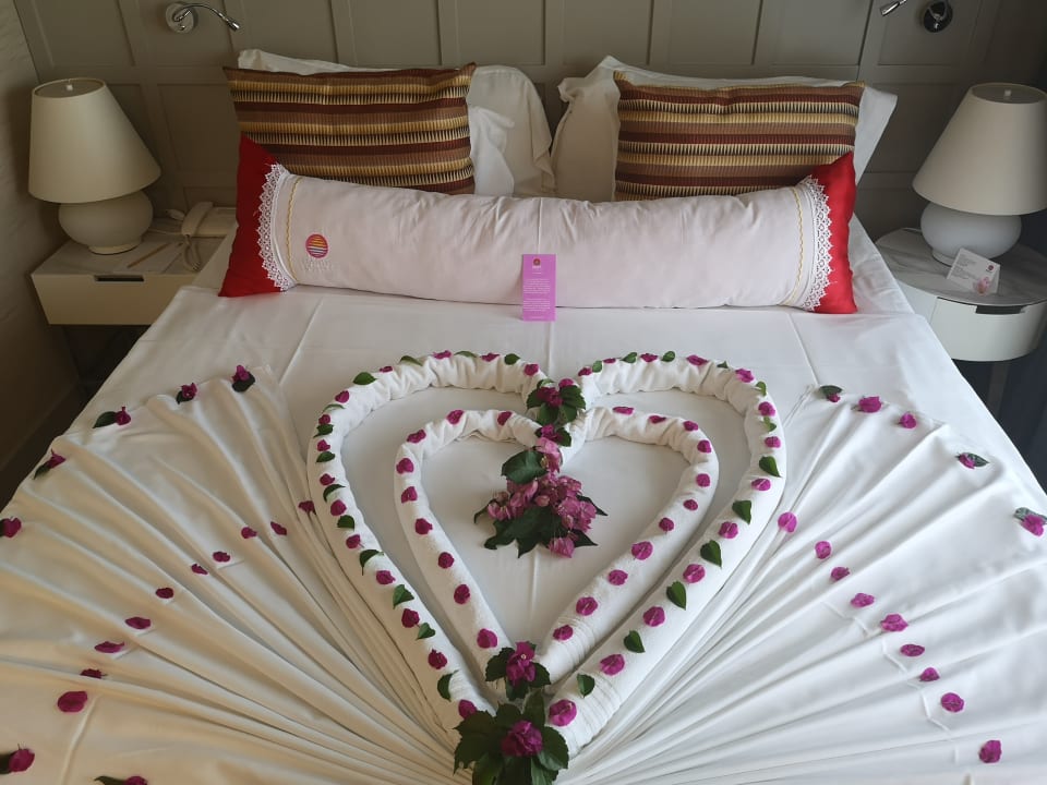 Zimmer Acanthus Cennet Barut Collection