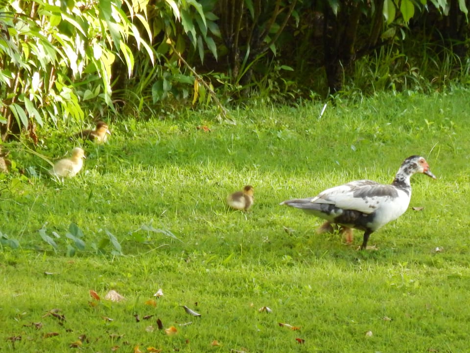 Happy Family Vista Sol Punta Cana