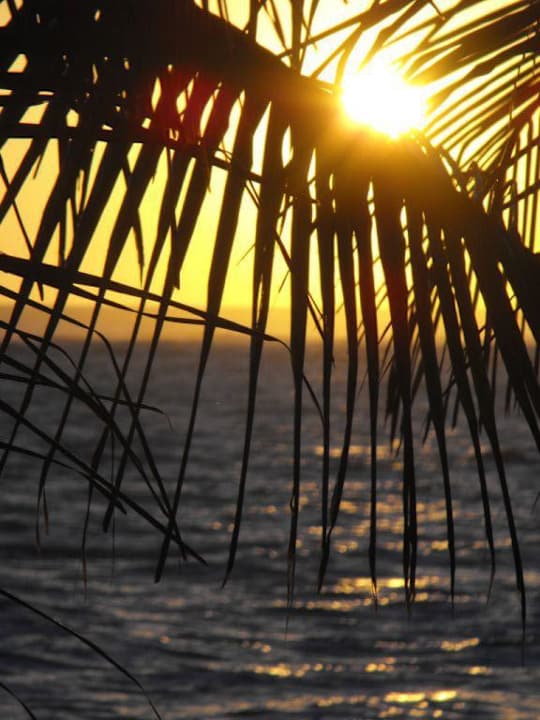 Sonnenaufgang Grand Palladium Select Bávaro Resort & Spa