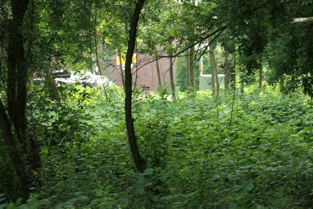Ausblick Architektenhaus am Pewsumer Tief