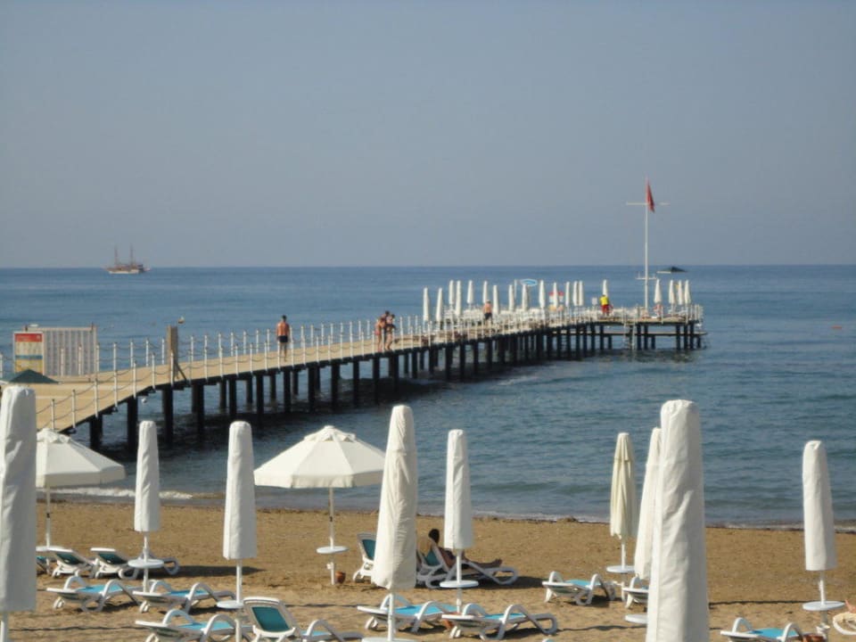 Sentido PALOMA Perissia