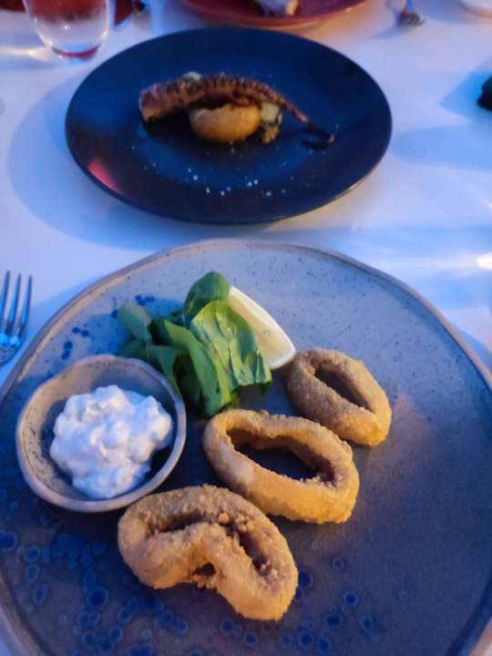 Gastro Acanthus Cennet Barut Collection