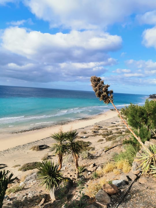 Strand Marina Playa Suite Hotel