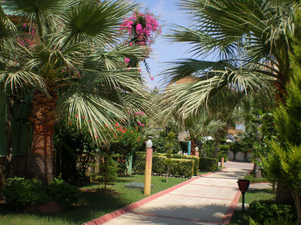 Wunderschöner Garten Saphir Hotel & Villas