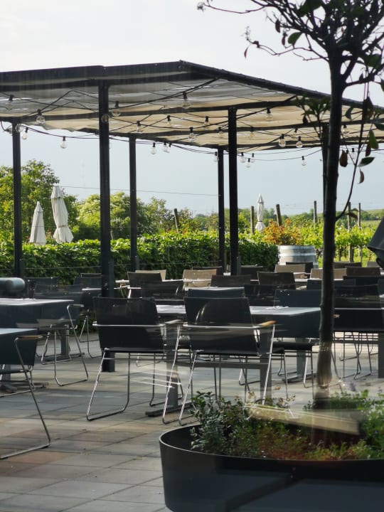 Gastro LOISIUM Wine & Spa Hotel Langenlois