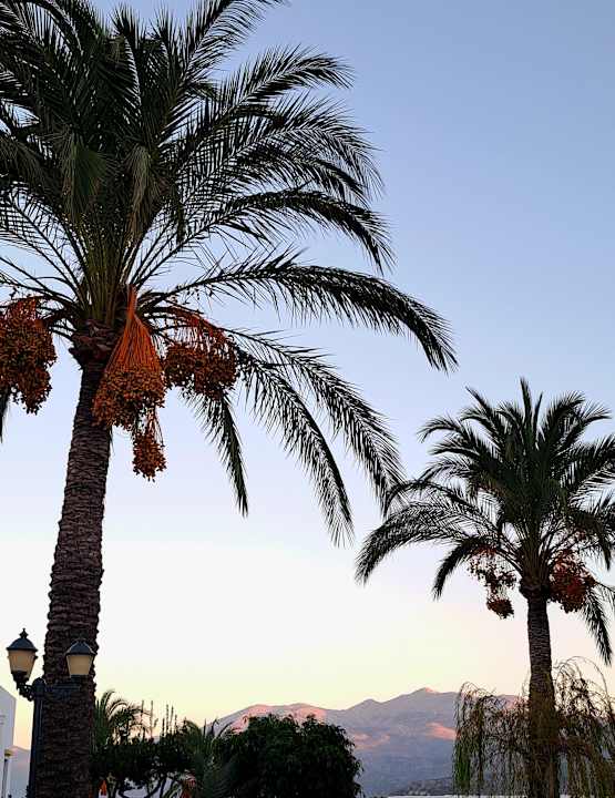 Ausblick Creta Maris Resort