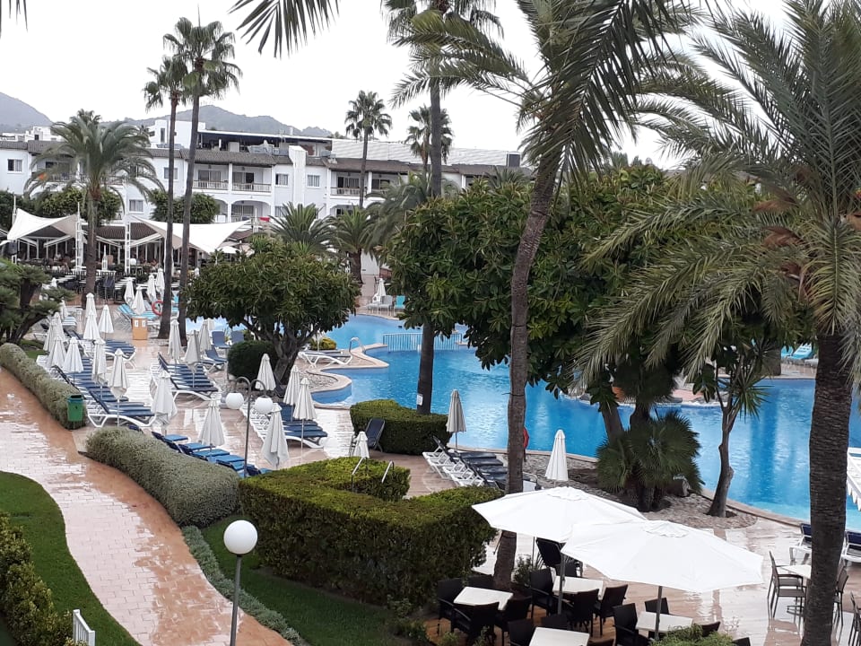 Ausblick Alcudia Garden Aparthotel