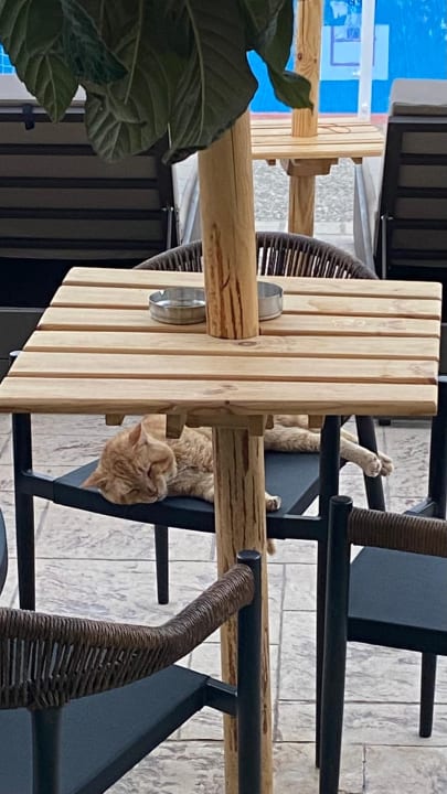 Sonstiges Irene Palace Beach Resort Club alltoura