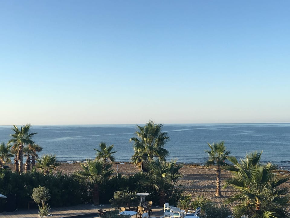 Ausblick Flora Garden Beach Hotel ( 16+ Adults Only )