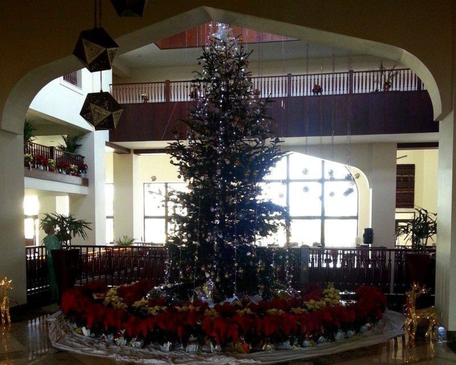 Lobby Steigenberger Aqua Magic