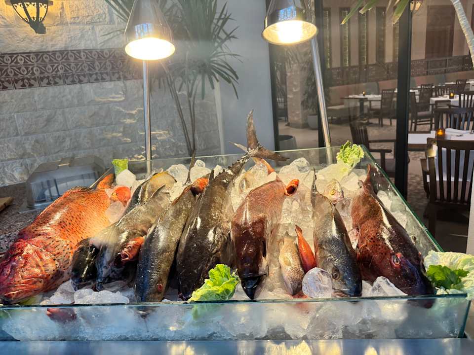 Gastro Steigenberger Resort Alaya Marsa Alam - Red Sea - Adults only