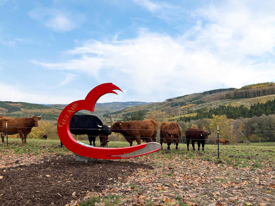 Sport & Freizeit Gut Ahe Landgasthof | Café | Event