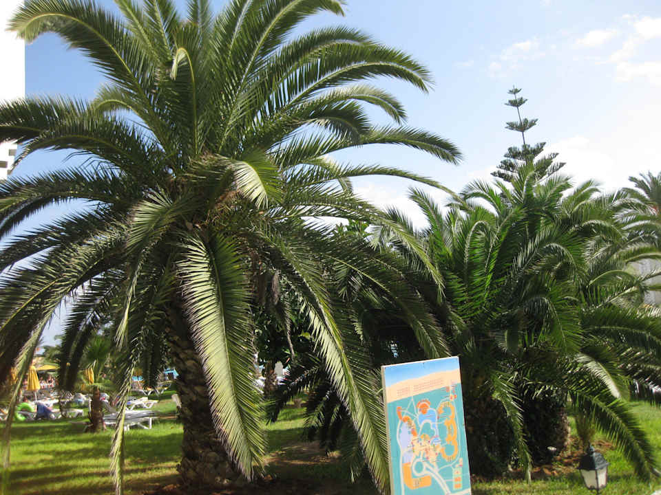 lti Hotel Mahdia Beach Mahdia Beach & Aquapark